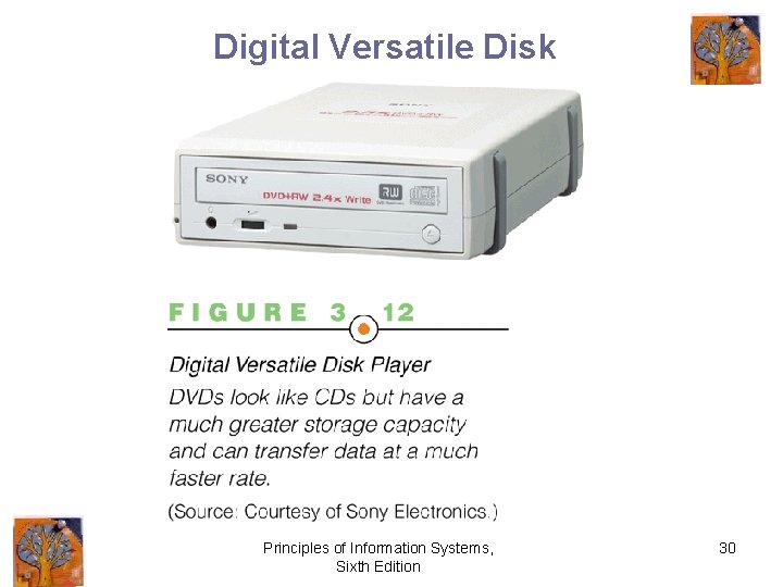 Digital Versatile Disk Principles of Information Systems, Sixth Edition 30 