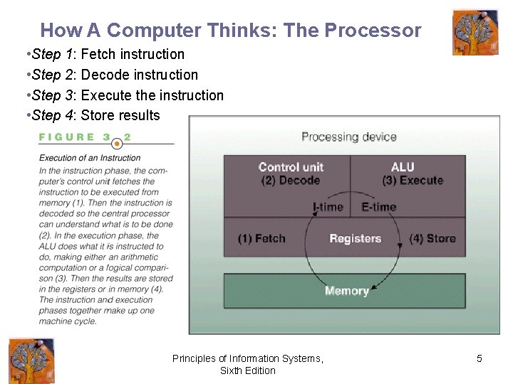 How A Computer Thinks: The Processor • Step 1: Fetch instruction • Step 2: