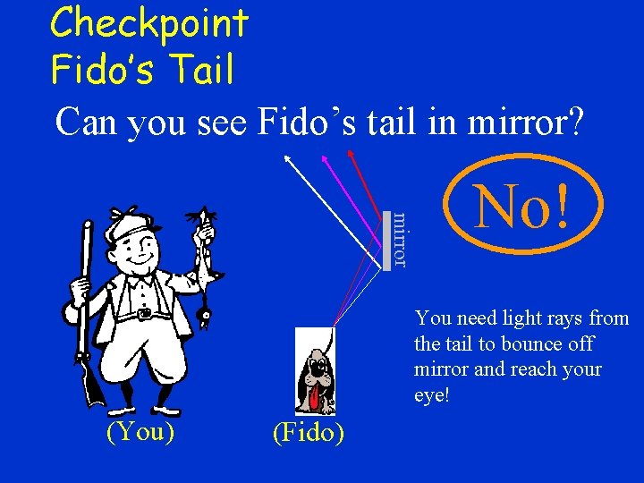Checkpoint Fido’s Tail Can you see Fido’s tail in mirror? mirror No! You need