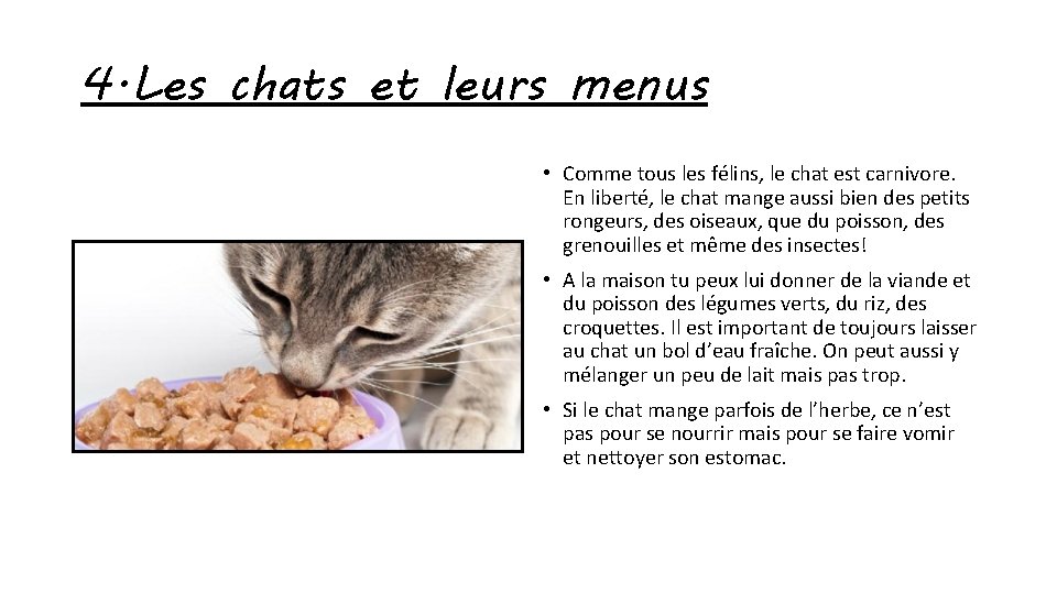 4. Les chats et leurs menus • Comme tous les félins, le chat est