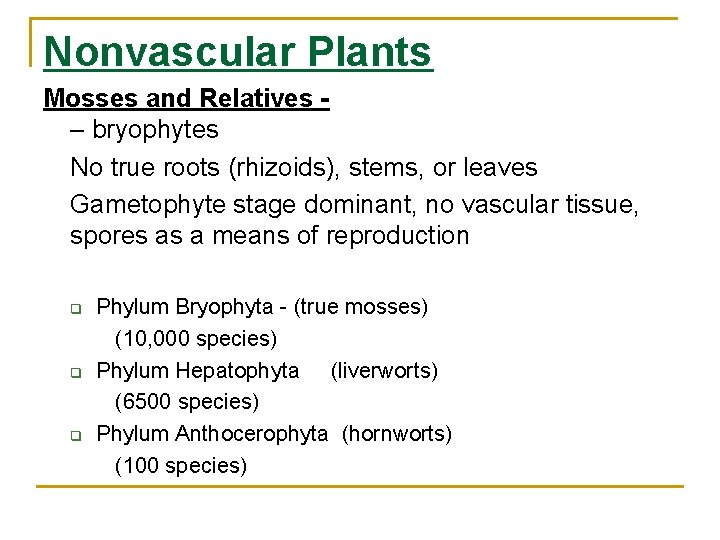 Nonvascular Plants Mosses and Relatives – bryophytes No true roots (rhizoids), stems, or leaves