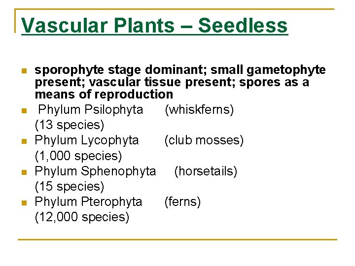 Vascular Plants – Seedless n n n sporophyte stage dominant; small gametophyte present; vascular