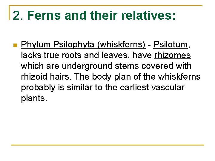 2. Ferns and their relatives: n Phylum Psilophyta (whiskferns) - Psilotum, lacks true roots