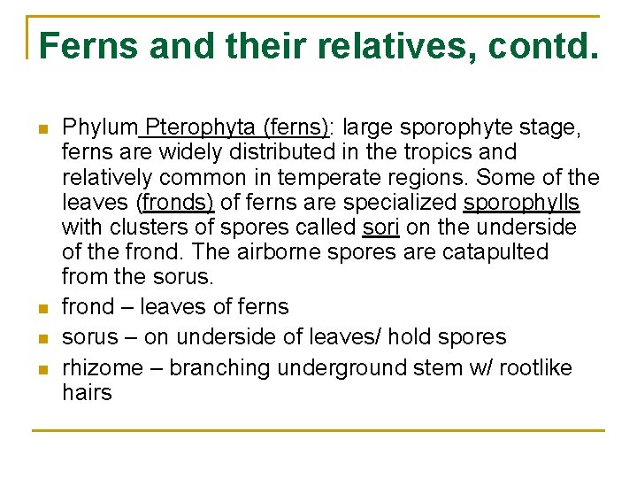 Ferns and their relatives, contd. n n Phylum Pterophyta (ferns): large sporophyte stage, ferns