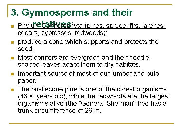 3. Gymnosperms and their relatives: n Phylum Coniferophyta (pines, spruce, firs, larches, n n