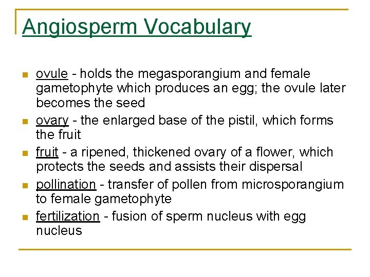 Angiosperm Vocabulary n n n ovule - holds the megasporangium and female gametophyte which