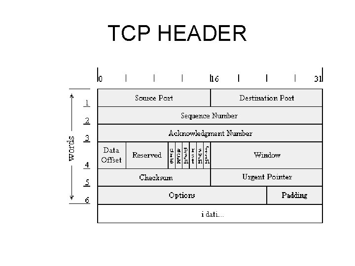 TCP HEADER 