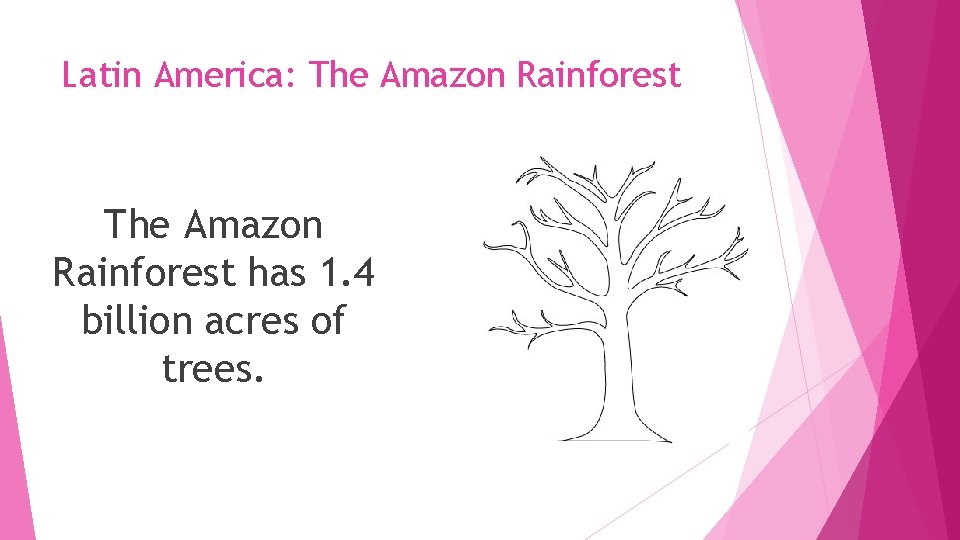 Latin America: The Amazon Rainforest has 1. 4 billion acres of trees. 