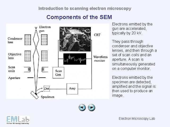 Introduction to scanning electron microscopy Components of the SEM Electrons emitted by the gun