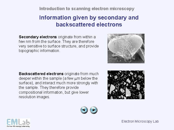 Introduction to scanning electron microscopy Information given by secondary and backscattered electrons Secondary electrons
