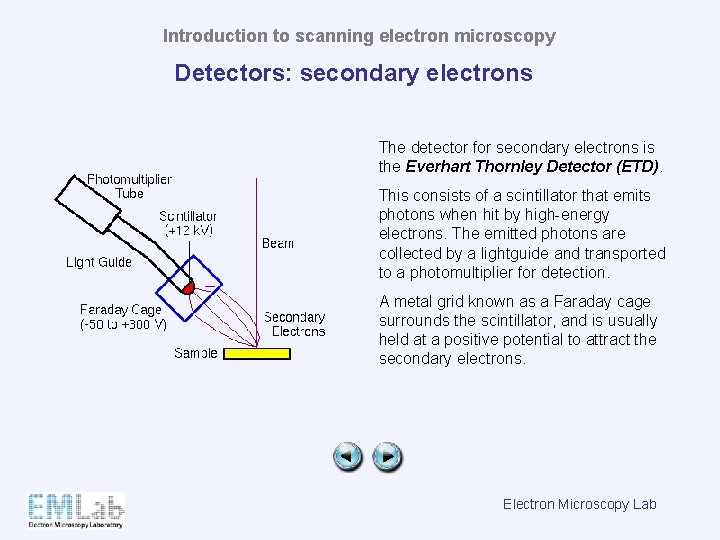 Introduction to scanning electron microscopy Detectors: secondary electrons The detector for secondary electrons is