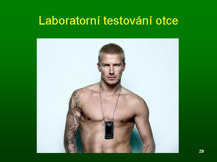 Laboratorní testování otce 29 