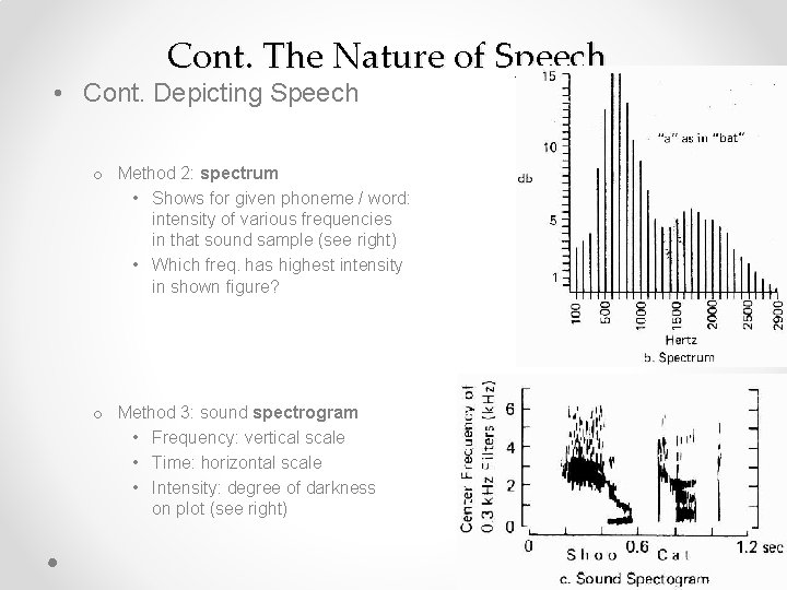 Cont. The Nature of Speech • Cont. Depicting Speech o Method 2: spectrum •