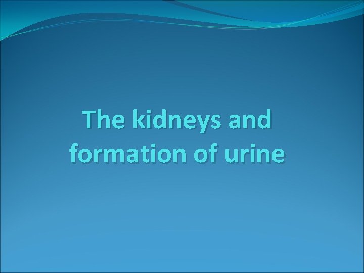 The kidneys and formation of urine 