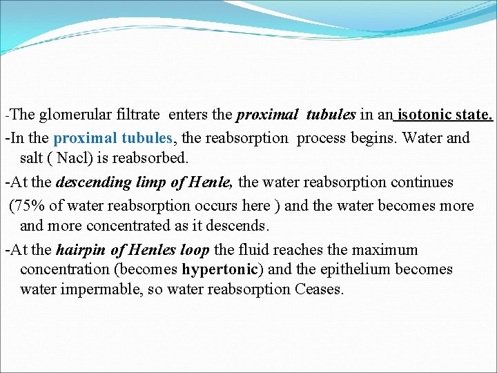 -The glomerular filtrate enters the proximal tubules in an isotonic state. -In the proximal