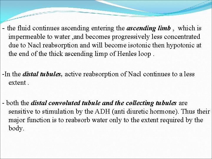 - the fluid continues ascending entering the ascending limb , which is impermeable to