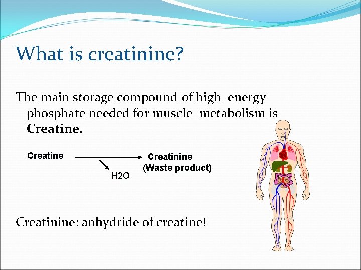 What is creatinine? The main storage compound of high energy phosphate needed for muscle