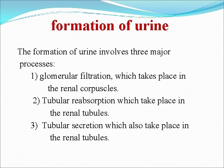formation of urine The formation of urine involves three major processes: 1) glomerular filtration,