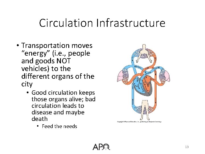 Circulation Infrastructure • Transportation moves “energy” (i. e. , people and goods NOT vehicles)