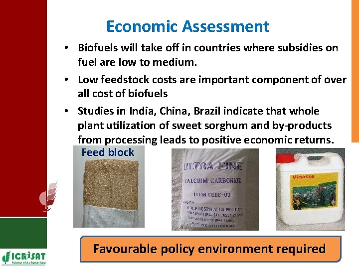 Economic Assessment • Biofuels will take off in countries where subsidies on fuel are