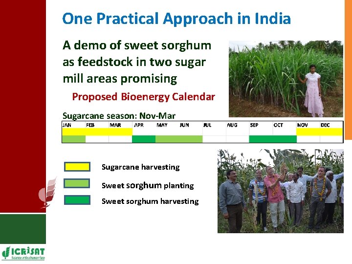 One Practical Approach in India A demo of sweet sorghum as feedstock in two