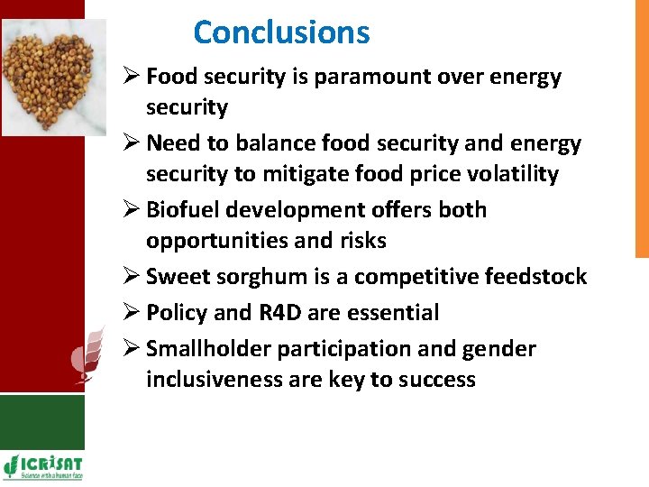 Conclusions Ø Food security is paramount over energy security Ø Need to balance food