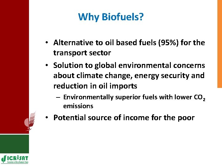 Why Biofuels? • Alternative to oil based fuels (95%) for the transport sector •