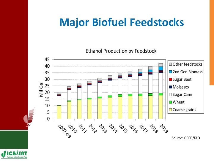 Major Biofuel Feedstocks 