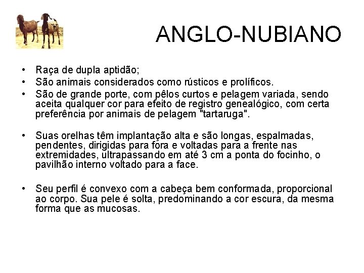 ANGLO-NUBIANO • Raça de dupla aptidão; • São animais considerados como rústicos e prolíficos.