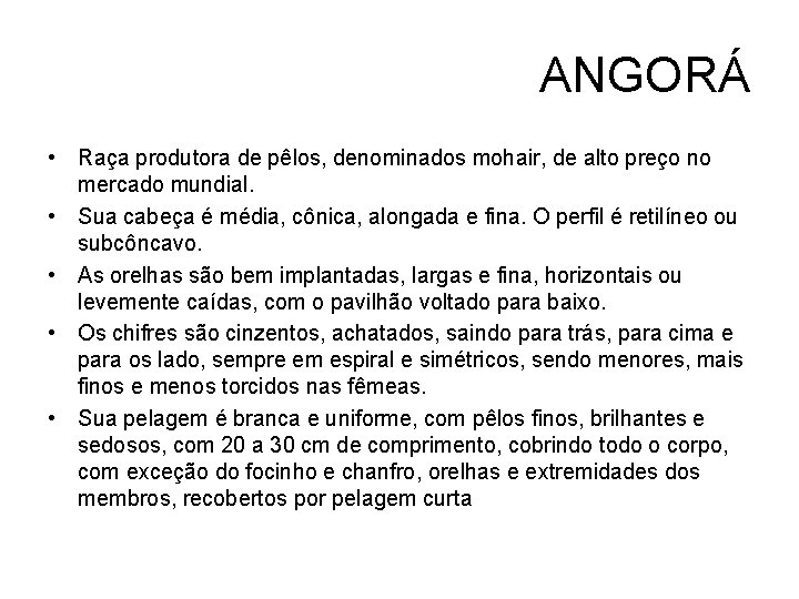 ANGORÁ • Raça produtora de pêlos, denominados mohair, de alto preço no mercado mundial.