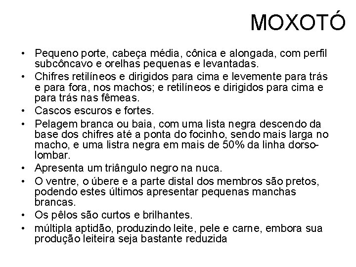 MOXOTÓ • Pequeno porte, cabeça média, cônica e alongada, com perfil subcôncavo e orelhas