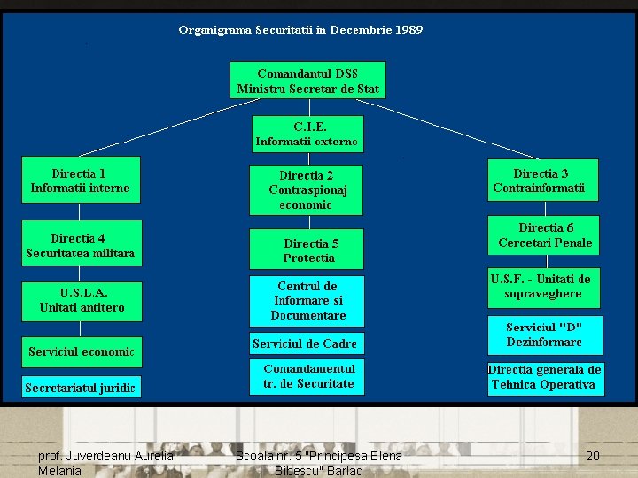 prof. Juverdeanu Aurelia Melania Scoala nr. 5 "Principesa Elena Bibescu" Barlad 20 