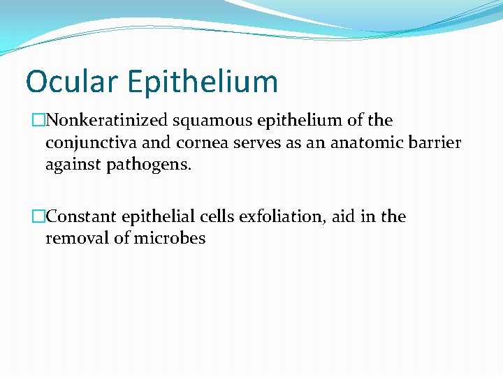 Ocular Epithelium �Nonkeratinized squamous epithelium of the conjunctiva and cornea serves as an anatomic