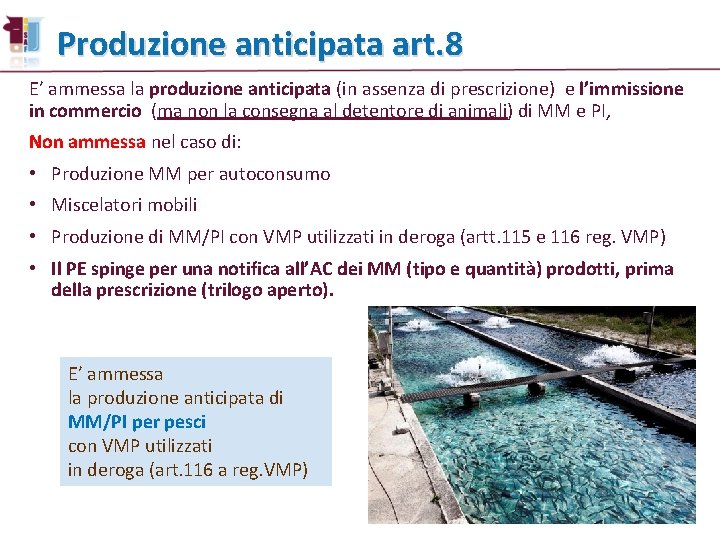 Produzione anticipata art. 8 E’ ammessa la produzione anticipata (in assenza di prescrizione) e