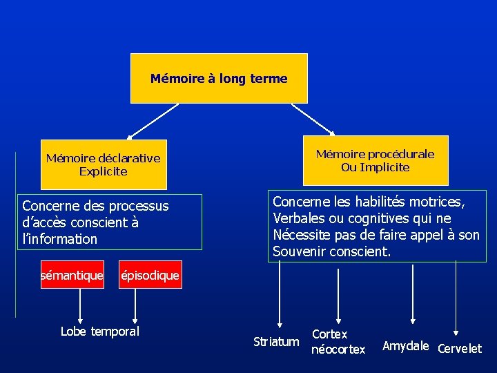 Mémoire à long terme Mémoire procédurale Ou Implicite Mémoire déclarative Explicite Concerne des processus