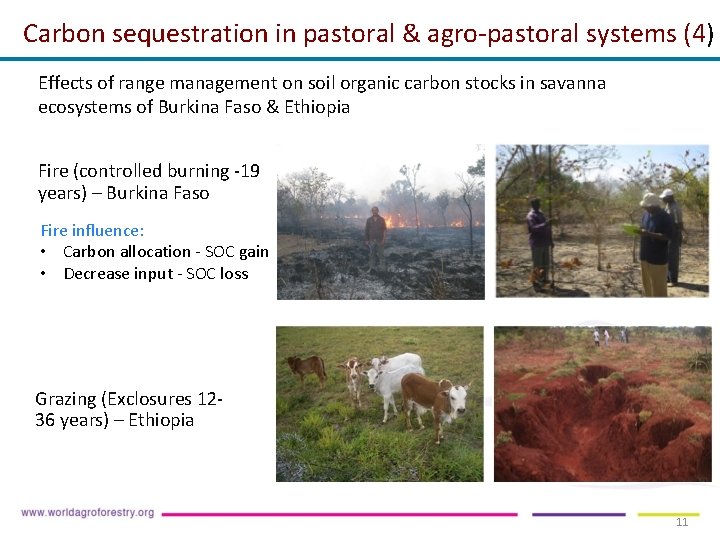 Carbon sequestration in pastoral & agro-pastoral systems (4) Effects of range management on soil Carbon sequestration in pastoral & agro-pastoral systems (4) Effects of range management on soil