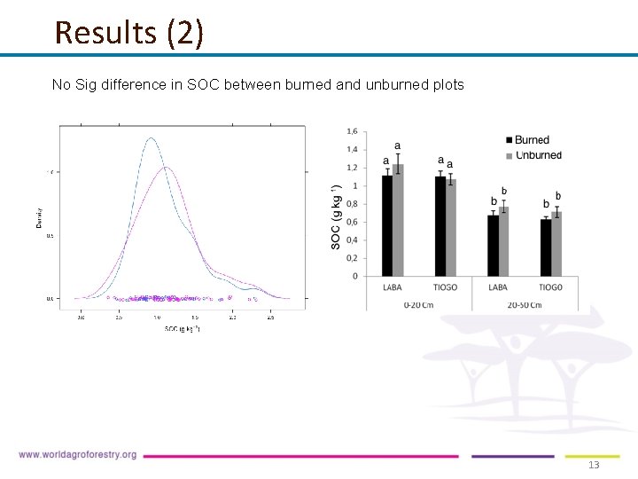 Results (2) No Sig difference in SOC between burned and unburned plots 13 Results (2) No Sig difference in SOC between burned and unburned plots 13