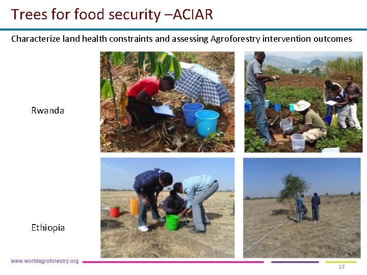 Trees for food security –ACIAR Characterize land health constraints and assessing Agroforestry intervention outcomes Trees for food security –ACIAR Characterize land health constraints and assessing Agroforestry intervention outcomes
