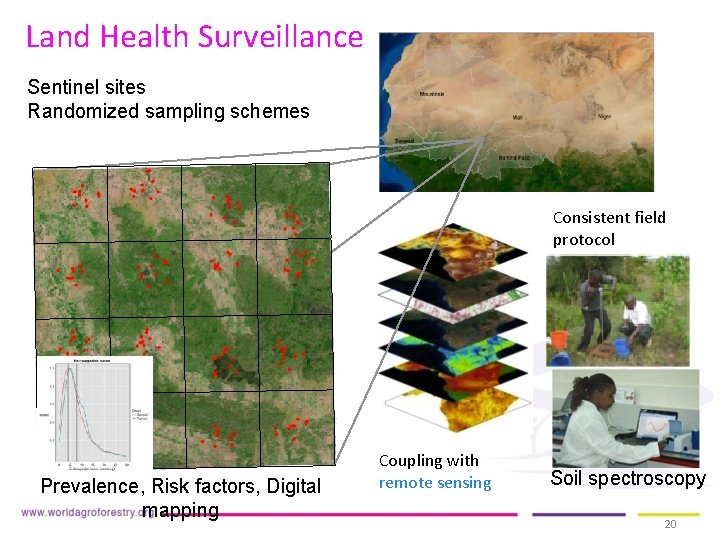 Land Health Surveillance Sentinel sites Randomized sampling schemes Consistent field protocol Prevalence, Risk factors, Land Health Surveillance Sentinel sites Randomized sampling schemes Consistent field protocol Prevalence, Risk factors,