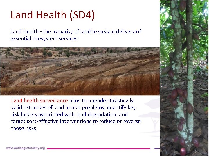 Land Health (SD 4) Land Health - the capacity of land to sustain delivery Land Health (SD 4) Land Health - the capacity of land to sustain delivery