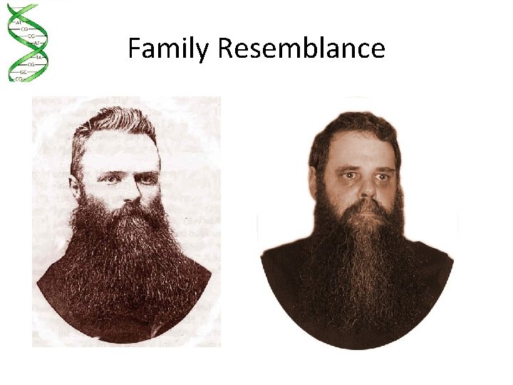 Family Resemblance 