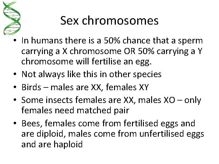 Sex chromosomes • In humans there is a 50% chance that a sperm carrying