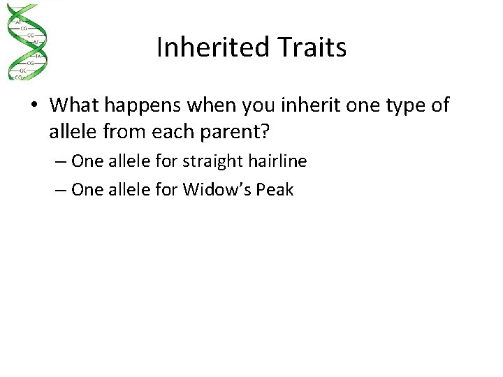 Inherited Traits • What happens when you inherit one type of allele from each