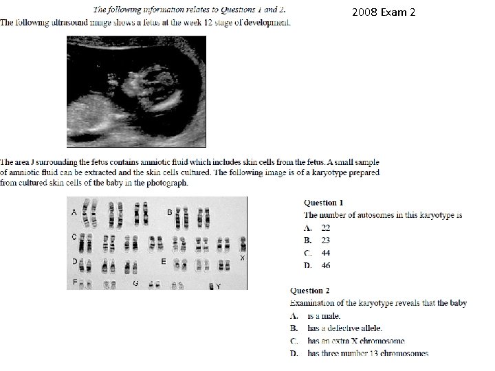 2008 Exam 2 