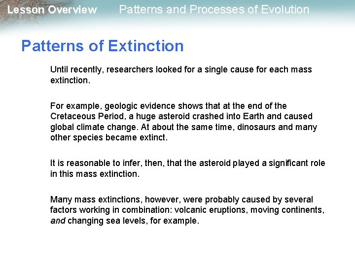 Lesson Overview Patterns and Processes of Evolution Patterns of Extinction Until recently, researchers looked