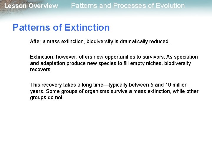 Lesson Overview Patterns and Processes of Evolution Patterns of Extinction After a mass extinction,