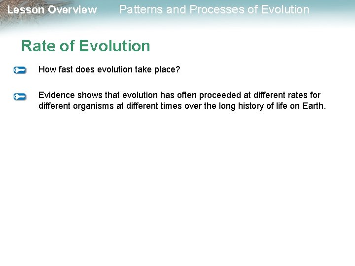 Lesson Overview Patterns and Processes of Evolution Rate of Evolution How fast does evolution