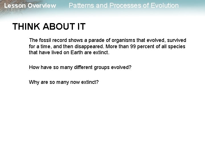 Lesson Overview Patterns and Processes of Evolution THINK ABOUT IT The fossil record shows