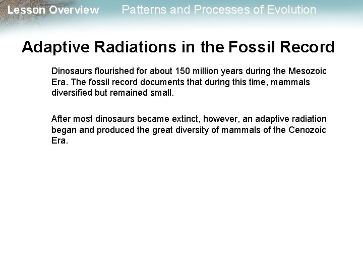 Lesson Overview Patterns and Processes of Evolution Adaptive Radiations in the Fossil Record Dinosaurs