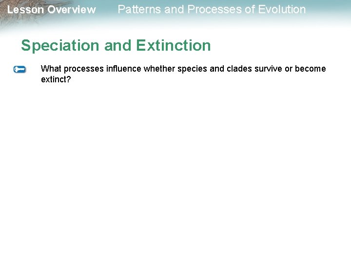 Lesson Overview Patterns and Processes of Evolution Speciation and Extinction What processes influence whether